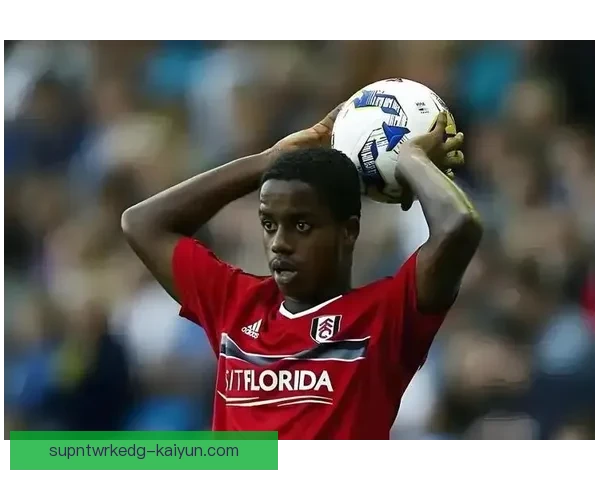 富勒姆整体实力表现稳健，当前赛季竞争力持续提升